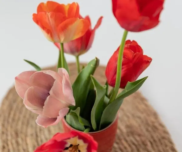 아파트 Aurora Am Bodensee *